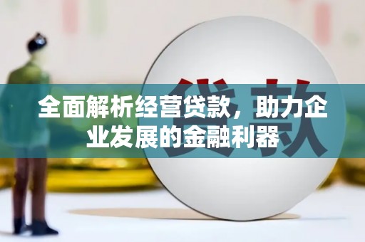 德宏全面解析经营贷款，助力企业发展的金融利器