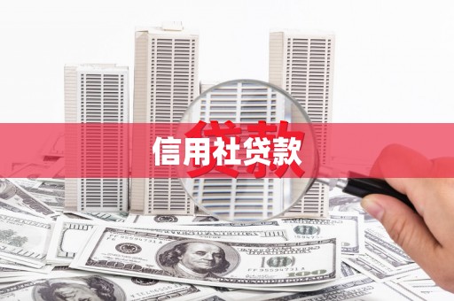 巴塘信用社贷款