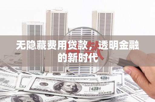 鹿泉无隐藏费用贷款，透明金融的新时代
