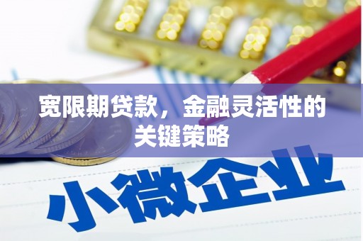 南宫宽限期贷款，金融灵活性的关键策略