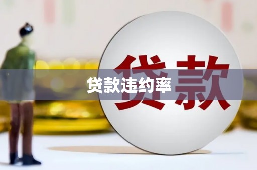 剑阁贷款违约率