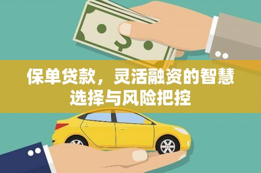 志丹保单贷款，灵活融资的智慧选择与风险把控