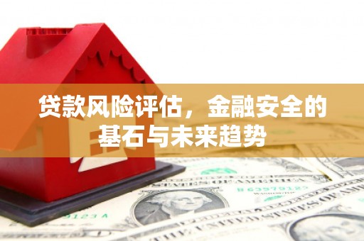 民丰贷款风险评估，金融安全的基石与未来趋势