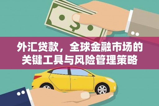 南雄外汇贷款，全球金融市场的关键工具与风险管理策略