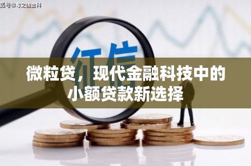 安远微粒贷，现代金融科技中的小额贷款新选择