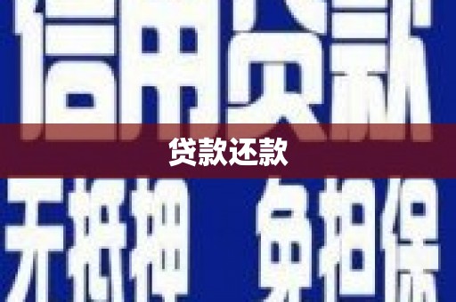 田家庵贷款还款