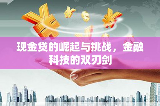 吴起现金贷的崛起与挑战，金融科技的双刃剑