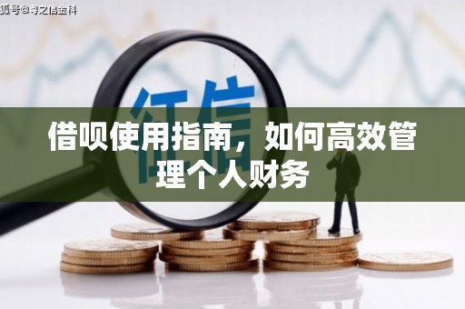 平湖借呗使用指南，如何高效管理个人财务