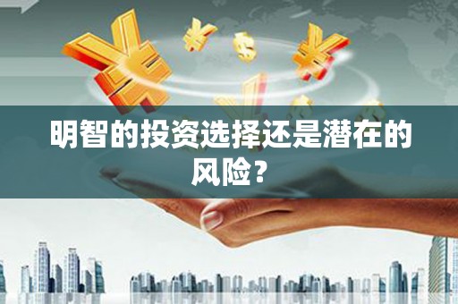 双清明智的投资选择还是潜在的风险？