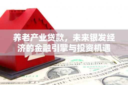 塔什库尔干塔吉克养老产业贷款，未来银发经济的金融引擎与投资机遇