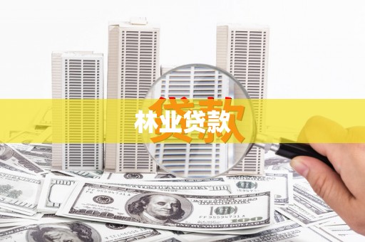 南竿林业贷款