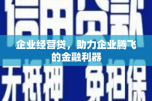 叶县企业经营贷，助力企业腾飞的金融利器