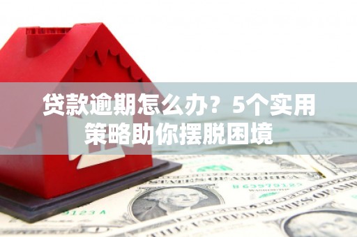 昭平贷款逾期怎么办？5个实用策略助你摆脱困境