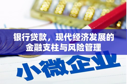 荔浦银行贷款，现代经济发展的金融支柱与风险管理