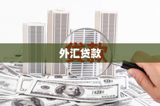 隆昌外汇贷款