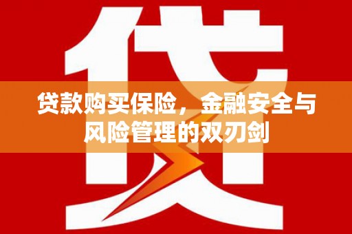 合阳贷款购买保险，金融安全与风险管理的双刃剑