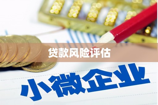 石城贷款风险评估