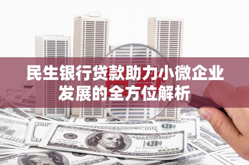 九龙民生银行贷款助力小微企业发展的全方位解析