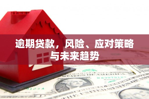 林园逾期贷款，风险、应对策略与未来趋势