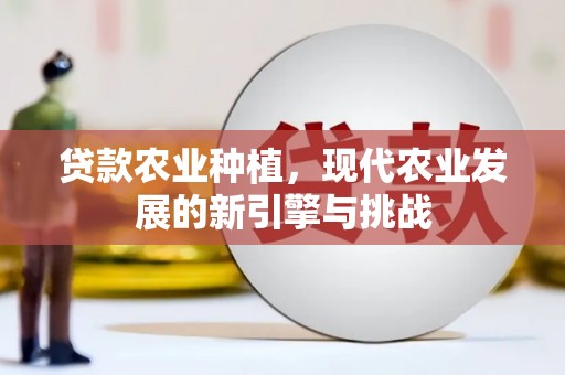 阳高贷款农业种植，现代农业发展的新引擎与挑战