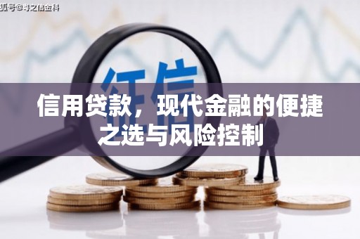 嘉兴信用贷款，现代金融的便捷之选与风险控制