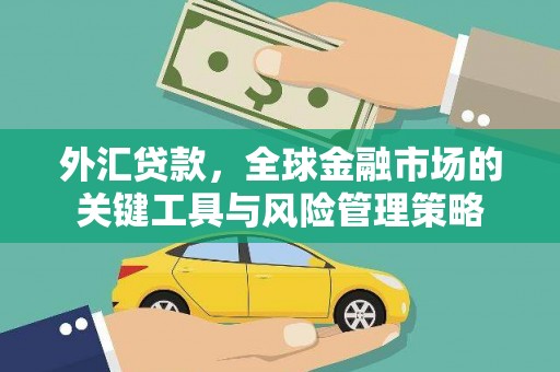 德清外汇贷款，全球金融市场的关键工具与风险管理策略