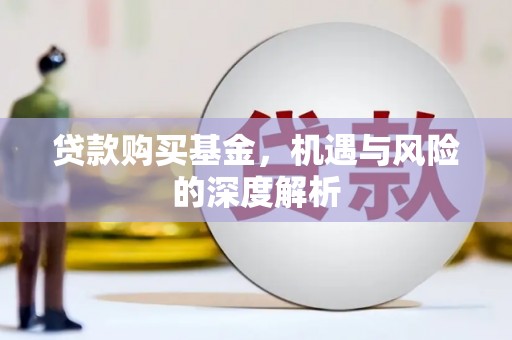 田林贷款购买基金，机遇与风险的深度解析