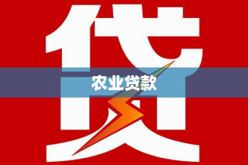双桥农业贷款