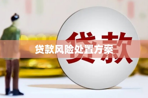 五台贷款风险处置方案