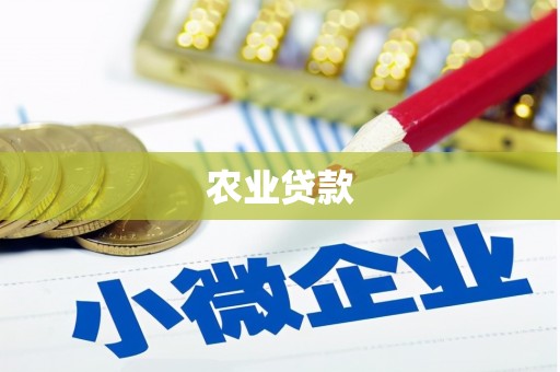 板桥农业贷款