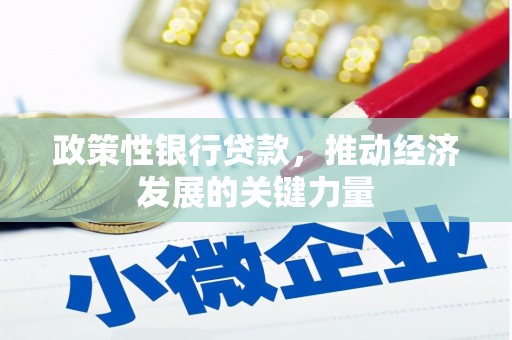 三穗政策性银行贷款，推动经济发展的关键力量