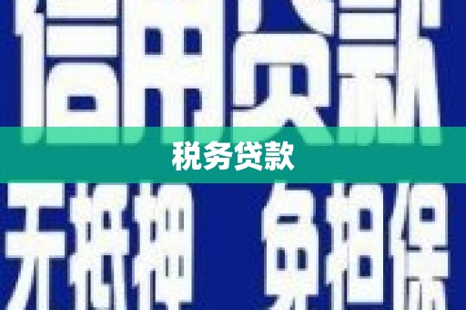 马边税务贷款