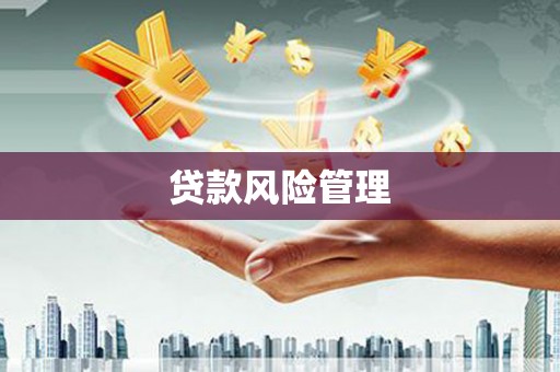 清浦贷款风险管理