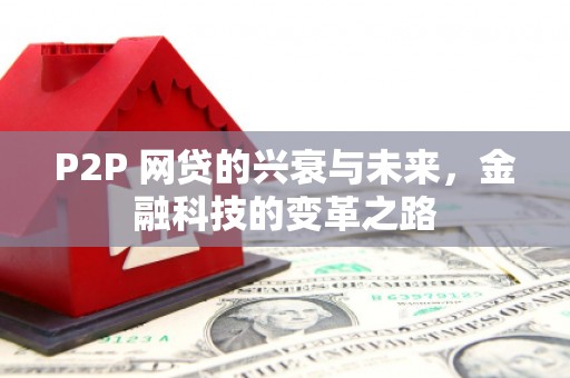 南投P2P 网贷的兴衰与未来，金融科技的变革之路