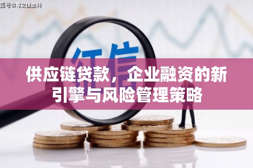 宝兴供应链贷款，企业融资的新引擎与风险管理策略