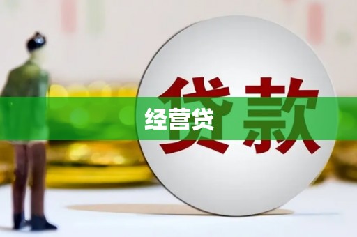 巧家经营贷