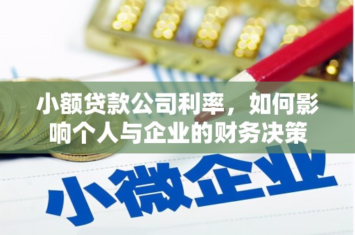瑞穗小额贷款公司利率，如何影响个人与企业的财务决策