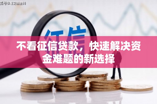 汉源不看征信贷款，快速解决资金难题的新选择