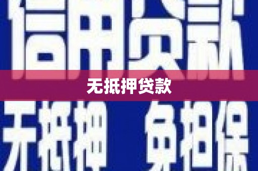 新河无抵押贷款