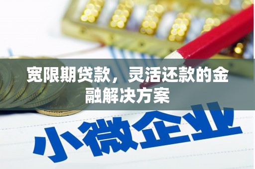 尼勒克宽限期贷款，灵活还款的金融解决方案