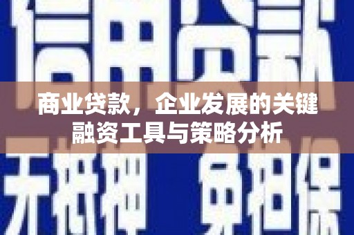 大渡口商业贷款，企业发展的关键融资工具与策略分析