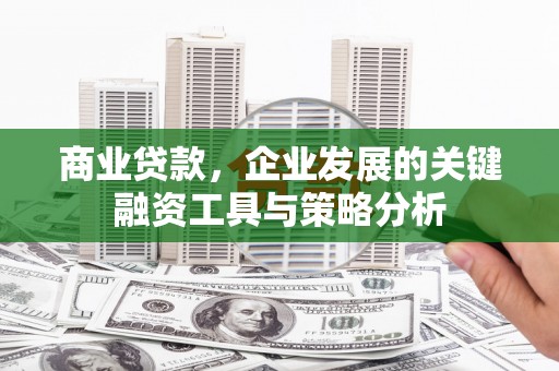纳雍商业贷款，企业发展的关键融资工具与策略分析