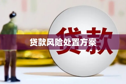 延吉贷款风险处置方案
