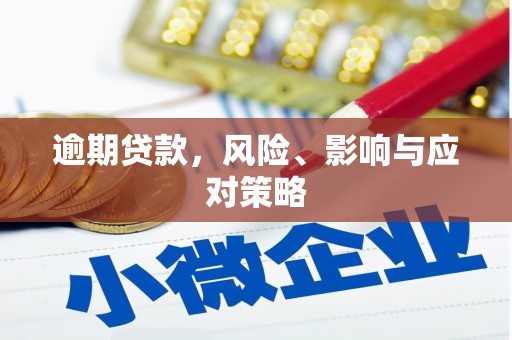 莲都逾期贷款，风险、影响与应对策略