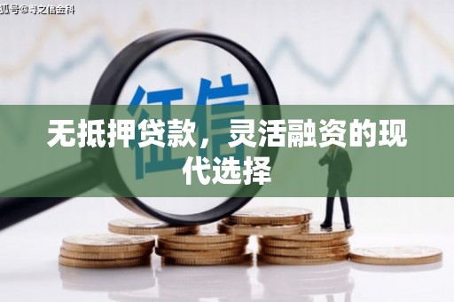 林甸无抵押贷款，灵活融资的现代选择