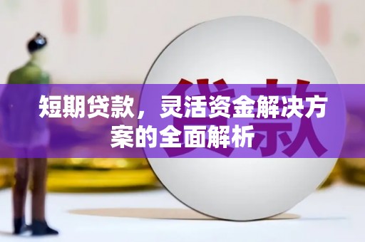 镇赉短期贷款，灵活资金解决方案的全面解析