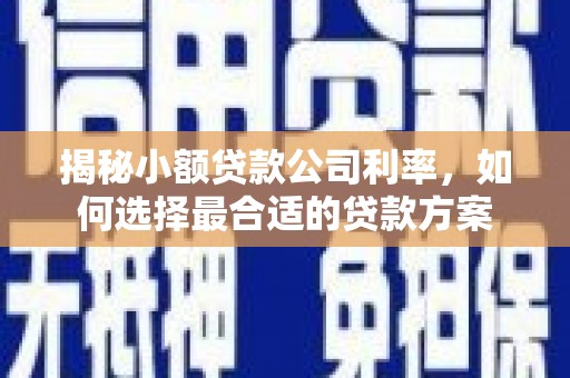 下营揭秘小额贷款公司利率，如何选择最合适的贷款方案