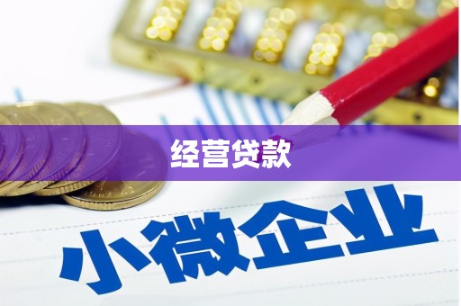 崇左经营贷款