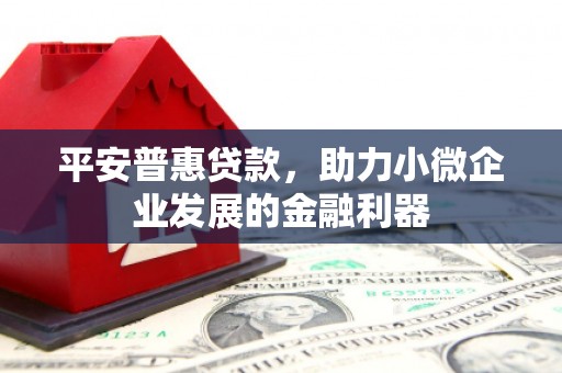 武安平安普惠贷款，助力小微企业发展的金融利器