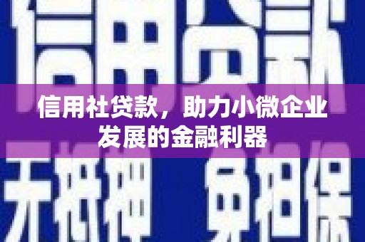 神湾信用社贷款，助力小微企业发展的金融利器